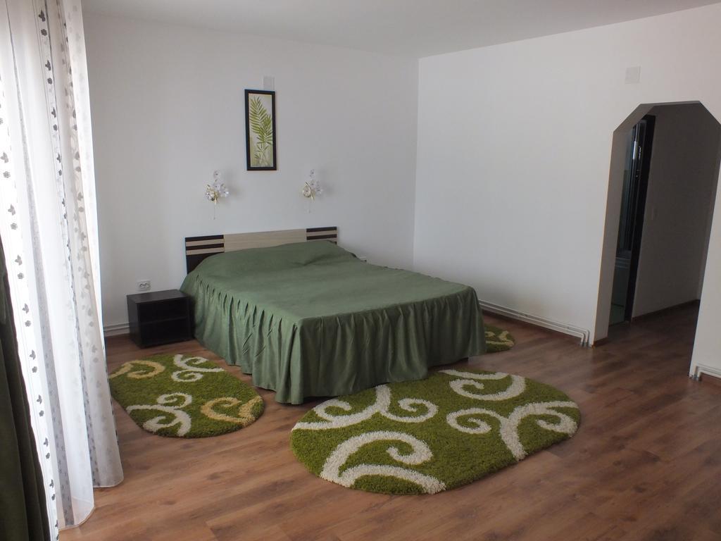 Pensiunea Eliza Hotel Podu Cosnii Ruang foto